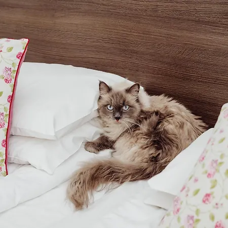 Buczynski Medical & Hotel